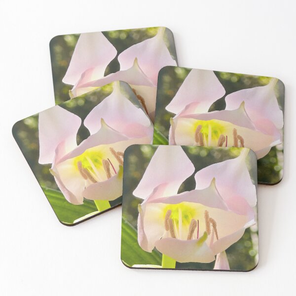 Item preview, PINK BAT FLOWER!! designed and sold by NatureSoReal.