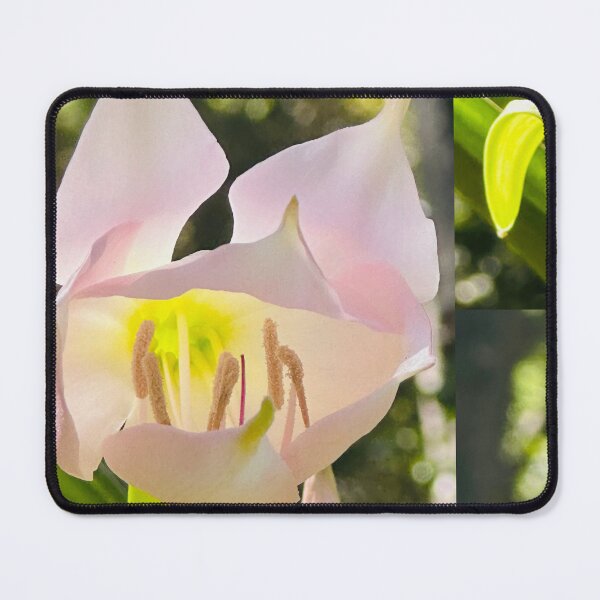 Item preview, PINK BAT FLOWER!! designed and sold by NatureSoReal.