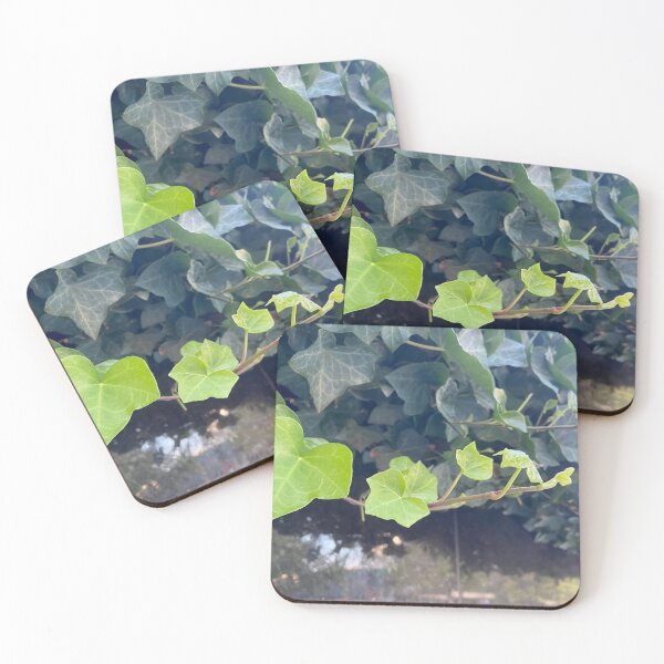 Item preview, de-Vine designed and sold by EmmelineKlatt.