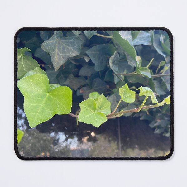Item preview, de-Vine designed and sold by EmmelineKlatt.