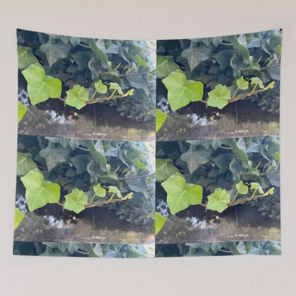 Item preview, de-Vine designed and sold by EmmelineKlatt.