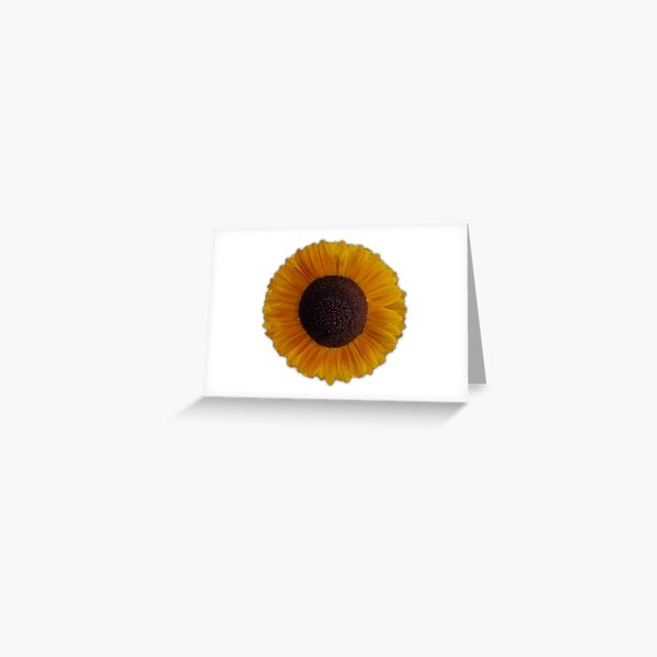 Field Guide to Sunflowers, No. 18, Bright Yellow Flower  Greeting Card