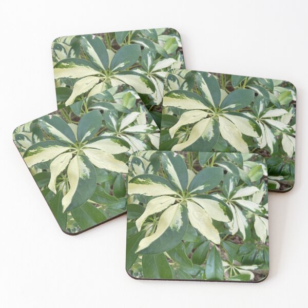 Item preview, Marble Leaves designed and sold by EmmelineKlatt.