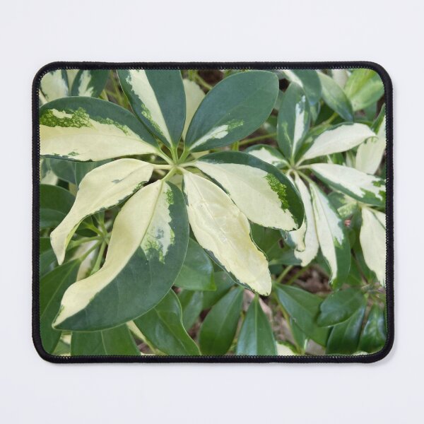 Item preview, Marble Leaves designed and sold by EmmelineKlatt.