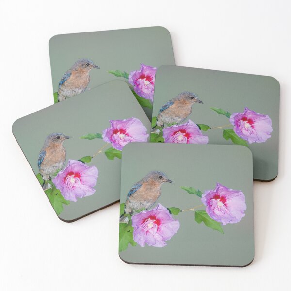 Item preview, Eastern Bluebird on Rose of Sharon designed and sold by (Tallow) Dave  Van de Laar.