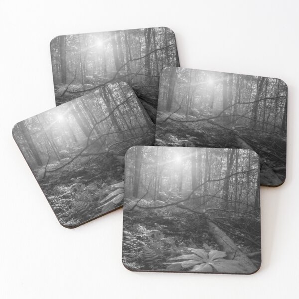 Item preview, Black & White Forest designed and sold by rose-waterhause.
