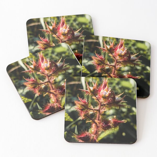 Item preview, Northeast Wineberry designed and sold by rose-waterhause.