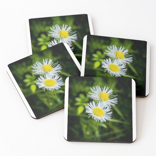 Item preview, Philadelphia Fleabane designed and sold by rose-waterhause.