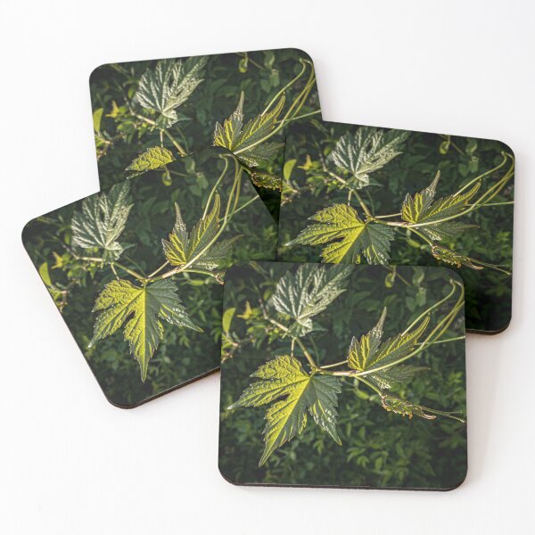 Item preview, Leaves designed and sold by rose-waterhause.