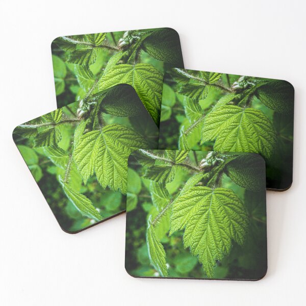 Item preview, Leaves designed and sold by rose-waterhause.
