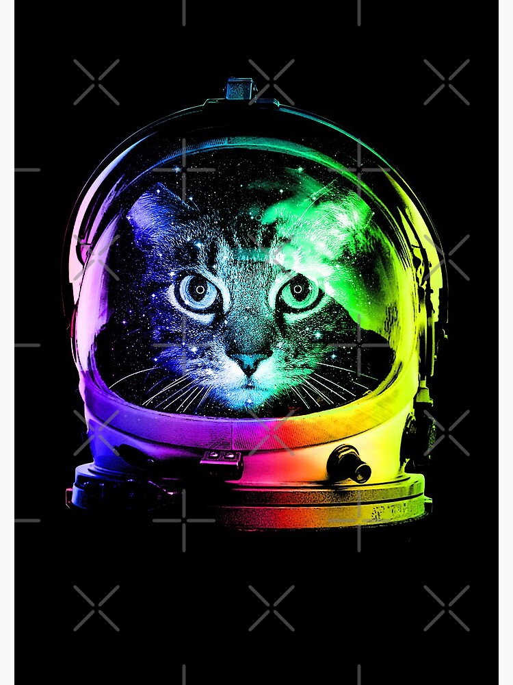 Astronaut Cat by clingcling