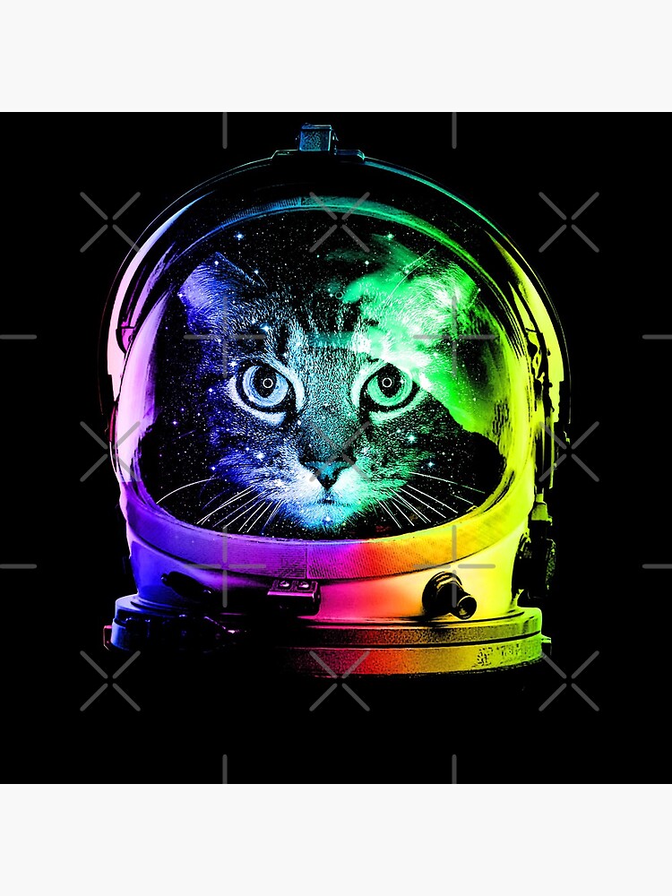 Astronaut Cat by clingcling
