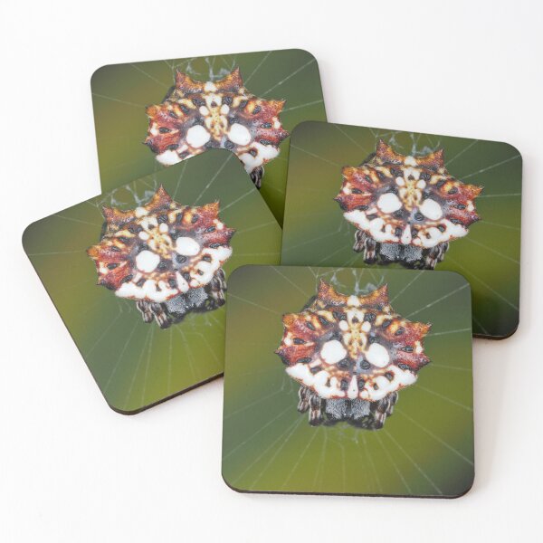 Item preview, Female Asian spinybacked orbweaver (Thelacantha brevispina) on Maui, Hawaii designed and sold by SDym Photography.