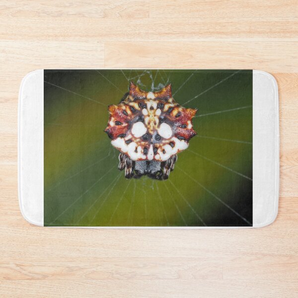 Item preview, Female Asian spinybacked orbweaver (Thelacantha brevispina) on Maui, Hawaii designed and sold by SDym Photography.