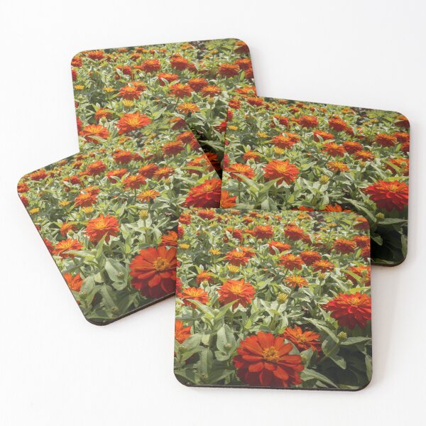 Item preview, Zinnias designed and sold by rose-waterhause.