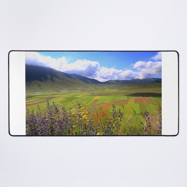 Item preview, Flowering in Castelluccio di Norcia designed and sold by annalisa56.