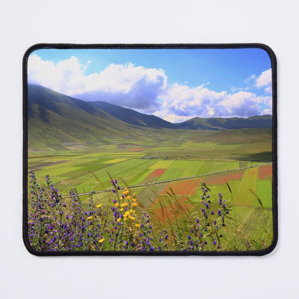 Item preview, Flowering in Castelluccio di Norcia designed and sold by annalisa56.