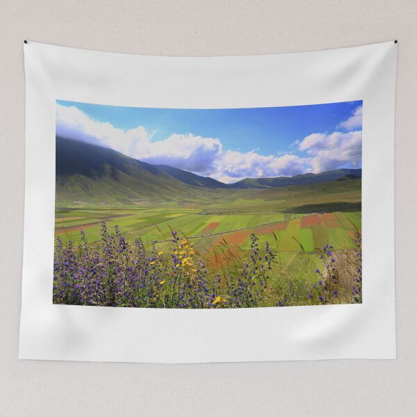 Item preview, Flowering in Castelluccio di Norcia designed and sold by annalisa56.