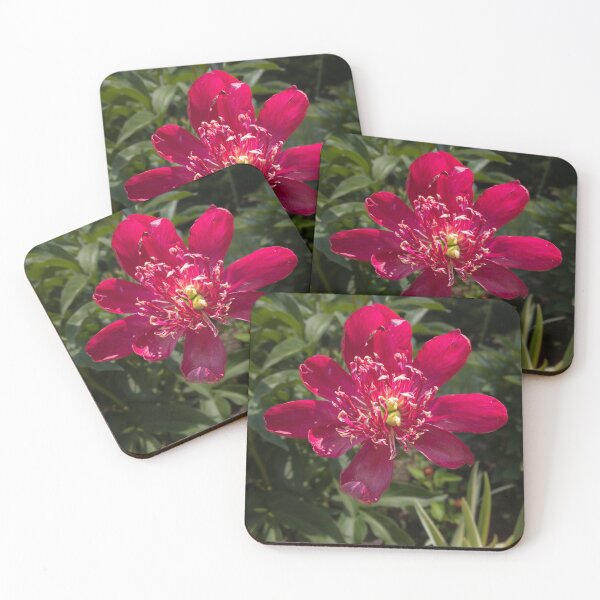 Item preview, Peonies designed and sold by rose-waterhause.