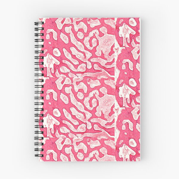 Item preview, Spongy Bone designed and sold by Love Histology.