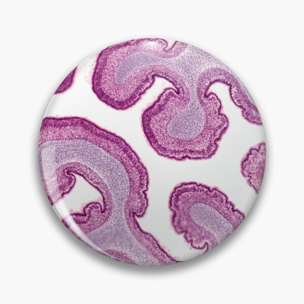 Artikelvorschau, Nasenlabyrinth entworfen und verkauft von Love Histology.
