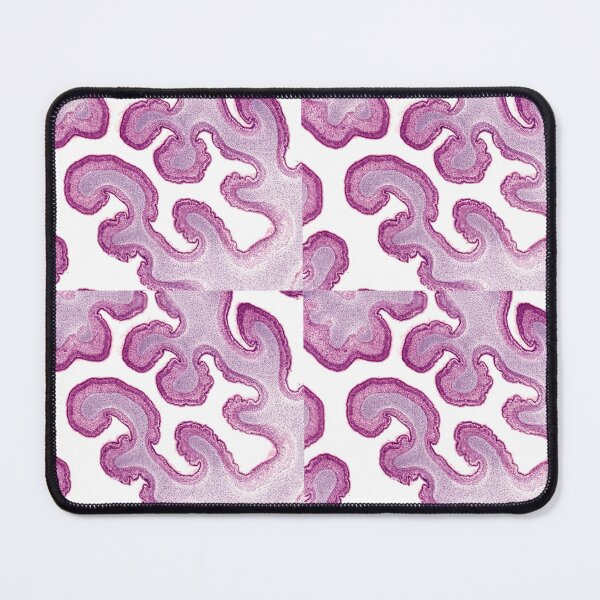 Item preview, Nasal labyrinth designed and sold by Love Histology.