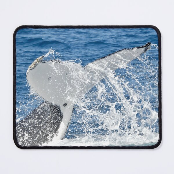 Item preview, Whale watching tail splash spray in Hervey Bay  designed and sold by Mark Grimsley.