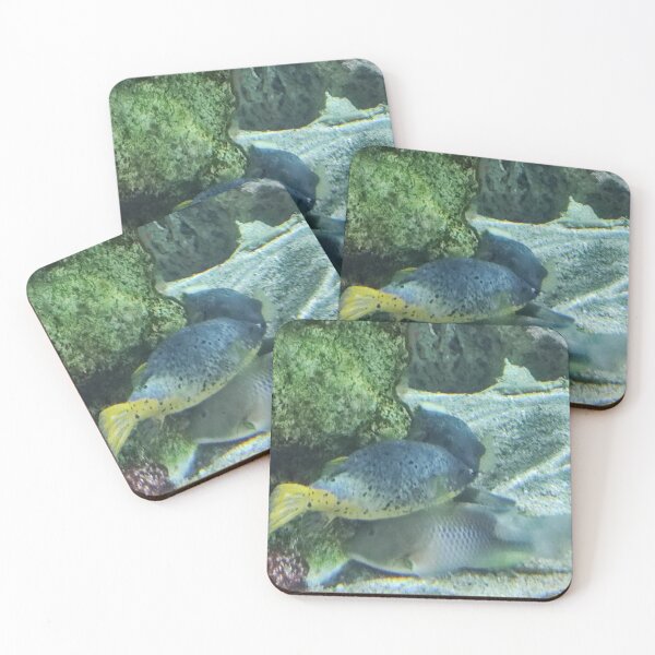 Item preview, Fish designed and sold by Minddey.