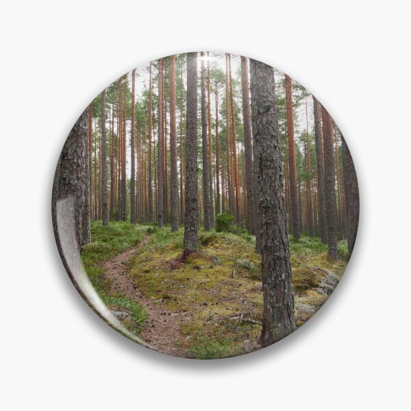 Item preview, The path. Kirkaslamminkangas 3 designed and sold by Jouko Lehto Photography.