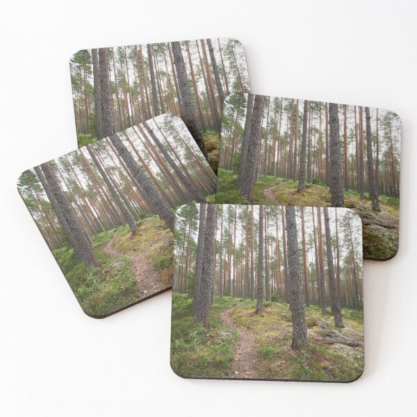 Item preview, The path. Kirkaslamminkangas 3 designed and sold by Jouko Lehto Photography.