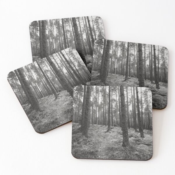 Item preview, The path. Kirkaslamminkangas 4bw designed and sold by Jouko Lehto Photography.