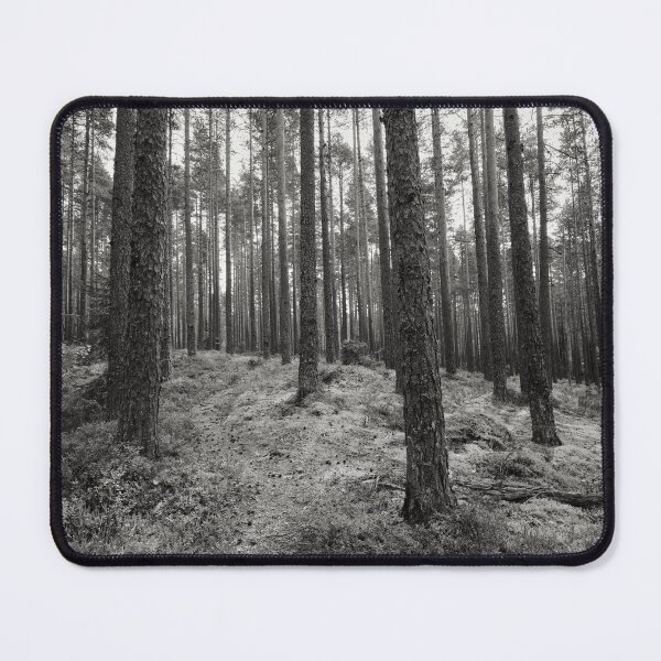 Item preview, The path. Kirkaslamminkangas 4bw designed and sold by Jouko Lehto Photography.