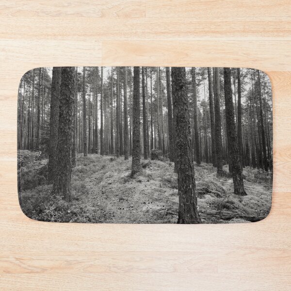 Item preview, The path. Kirkaslamminkangas 4bw designed and sold by Jouko Lehto Photography.