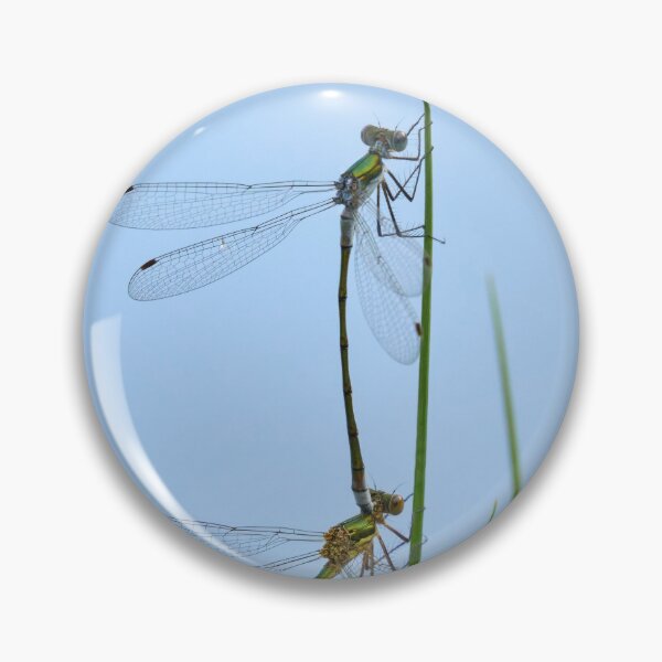 Item preview, Linked. Damselfly designed and sold by Jouko Lehto Photography.