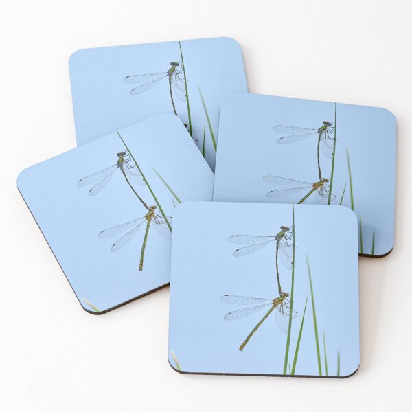 Item preview, Linked. Damselfly designed and sold by Jouko Lehto Photography.