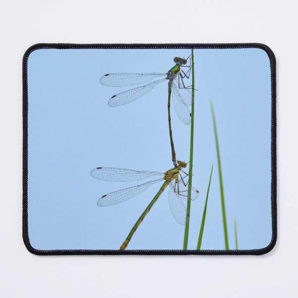 Item preview, Linked. Damselfly designed and sold by Jouko Lehto Photography.