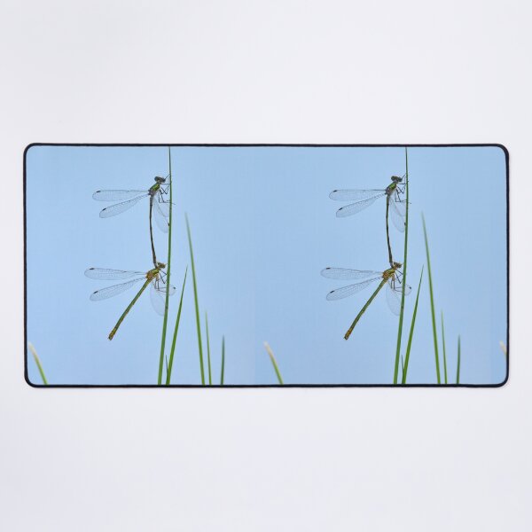 Item preview, Linked. Damselfly designed and sold by Jouko Lehto Photography.