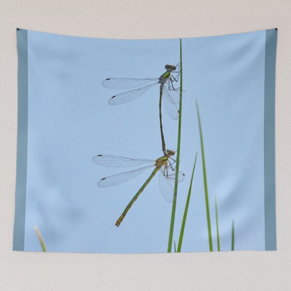 Item preview, Linked. Damselfly designed and sold by Jouko Lehto Photography.