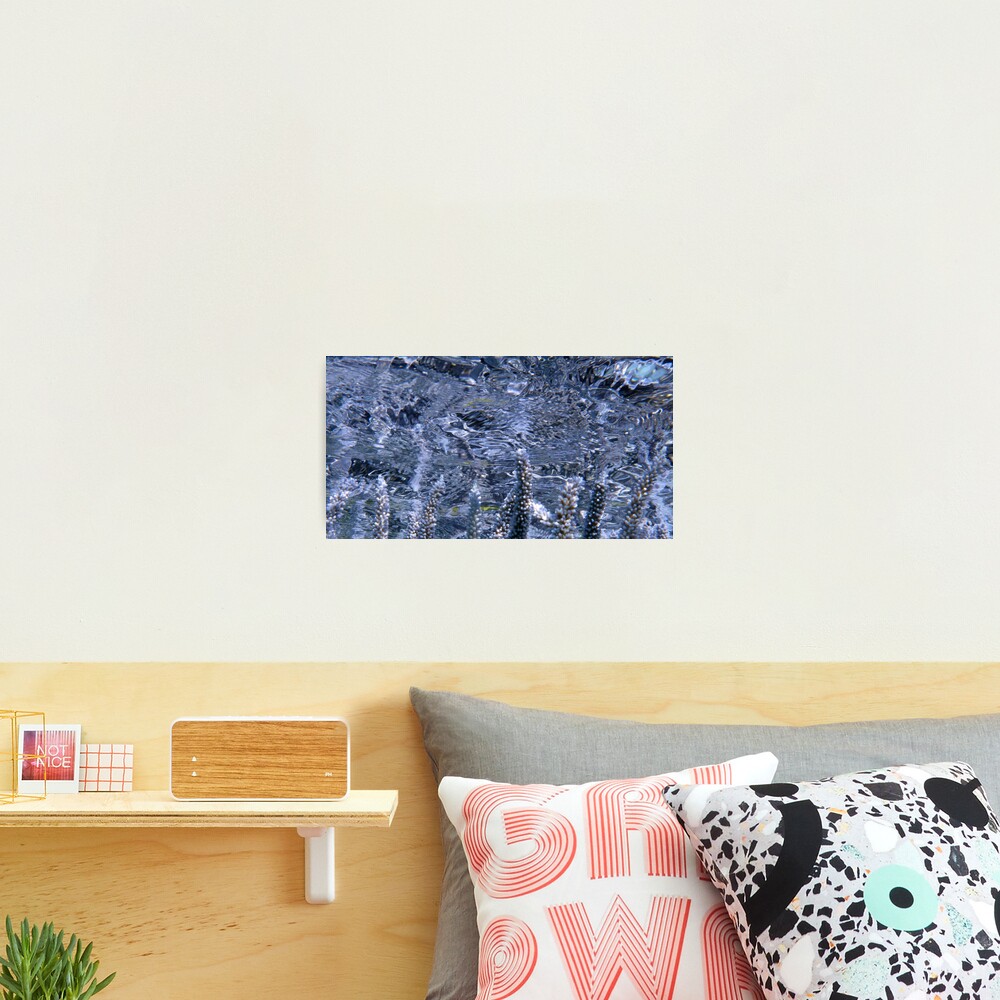 Acropora Reflections Photographic Print
