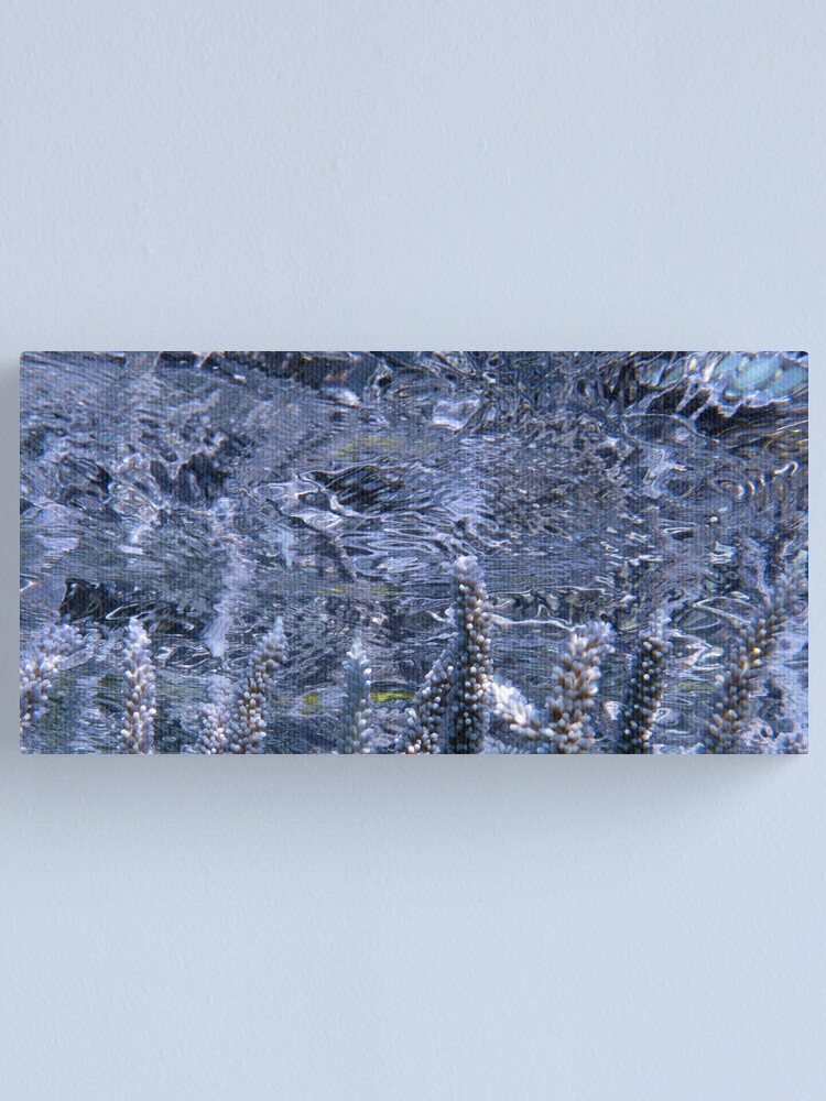 Alternate view of Acropora Reflections Canvas Print