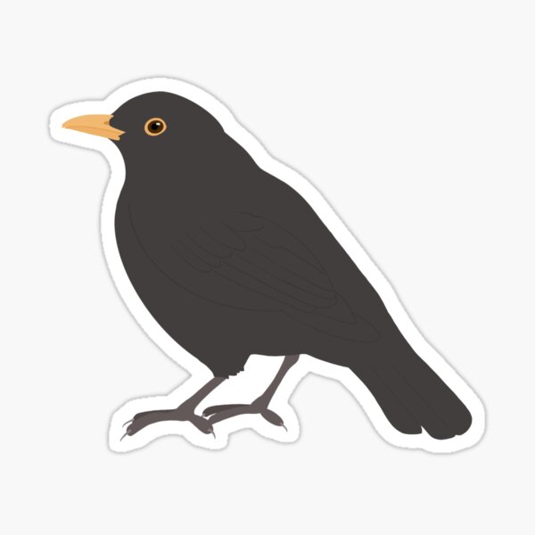 Item preview, Blackbird - Graphic Bird Art designed and sold by artmanship.