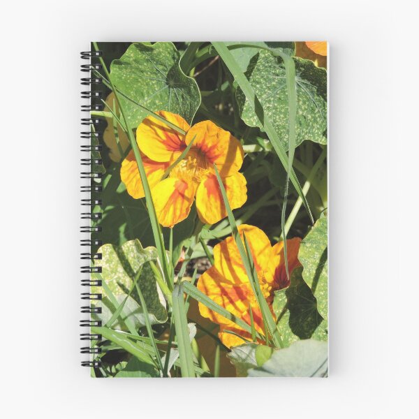Item preview, Yellow& Orange Geraniums designed and sold by MaureenBoyle.