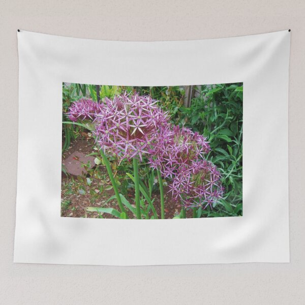Item preview, Allium Christophe designed and sold by lezvee.
