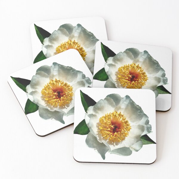 Item preview, White Poppy in Sunshine designed and sold by Susan Savad.