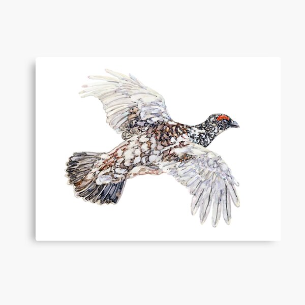 Item preview, Watercolour Ptarmigan designed and sold by beccaboyce.