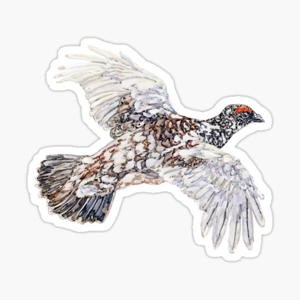 Item preview, Watercolour Ptarmigan designed and sold by beccaboyce.