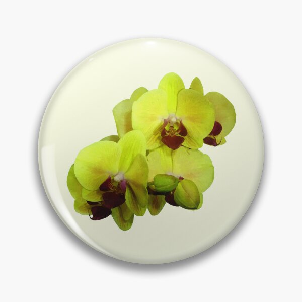 Item preview, Group of Yellow Orchids designed and sold by Susan Savad.