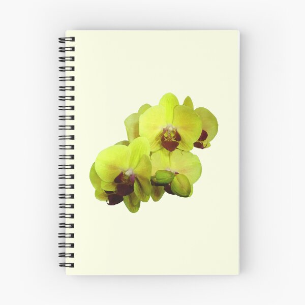 Item preview, Group of Yellow Orchids designed and sold by Susan Savad.