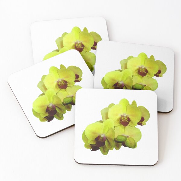 Item preview, Group of Yellow Orchids designed and sold by Susan Savad.