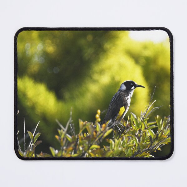 Item preview, New Holland Honeyeater designed and sold by imaginethis.